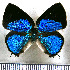  ( - JFDA5458)  @11 [ ] copyright (2025) Center For Collection-Based Research Center For Collection-Based Research