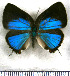  ( - JFDA5459)  @11 [ ] copyright (2025) Center For Collection-Based Research Center For Collection-Based Research