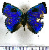  ( - JFDA5466)  @11 [ ] copyright (2025) Center For Collection-Based Research Center For Collection-Based Research