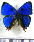  ( - JFDA5469)  @11 [ ] copyright (2025) Center For Collection-Based Research Center For Collection-Based Research