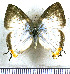  ( - JFDA5470)  @11 [ ] copyright (2025) Center For Collection-Based Research Center For Collection-Based Research
