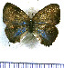  ( - JFDA5474)  @11 [ ] copyright (2025) Center For Collection-Based Research Center For Collection-Based Research