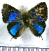  ( - JFDA5475)  @11 [ ] copyright (2025) Center For Collection-Based Research Center For Collection-Based Research