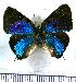  ( - JFDA5476)  @11 [ ] copyright (2025) Center For Collection-Based Research Center For Collection-Based Research
