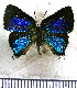  ( - JFDA5477)  @11 [ ] copyright (2025) Center For Collection-Based Research Center For Collection-Based Research