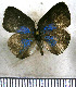  ( - JFDA5478)  @11 [ ] copyright (2025) Center For Collection-Based Research Center For Collection-Based Research