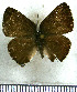  ( - JFDA5486)  @11 [ ] copyright (2025) Center For Collection-Based Research Center For Collection-Based Research
