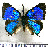  ( - JFDA5489)  @11 [ ] copyright (2025) Center For Collection-Based Research Center For Collection-Based Research