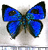  ( - JFDA5493)  @11 [ ] copyright (2025) Center For Collection-Based Research Center For Collection-Based Research