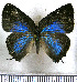  ( - JFDA5494)  @11 [ ] copyright (2025) Center For Collection-Based Research Center For Collection-Based Research
