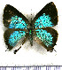  ( - JFDA5504)  @11 [ ] copyright (2025) Center For Collection-Based Research Center For Collection-Based Research