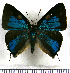  ( - JFDA5506)  @11 [ ] copyright (2025) Center For Collection-Based Research Center For Collection-Based Research