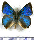  ( - JFDA5508)  @11 [ ] copyright (2025) Center For Collection-Based Research Center For Collection-Based Research