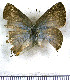  ( - JFDA5509)  @11 [ ] copyright (2025) Center For Collection-Based Research Center For Collection-Based Research