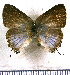  ( - JFDA5510)  @11 [ ] copyright (2025) Center For Collection-Based Research Center For Collection-Based Research