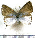  ( - JFDA5511)  @11 [ ] copyright (2025) Center For Collection-Based Research Center For Collection-Based Research