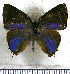  ( - JFDA5512)  @11 [ ] copyright (2025) Center For Collection-Based Research Center For Collection-Based Research