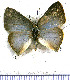  ( - JFDA5513)  @11 [ ] copyright (2025) Center For Collection-Based Research Center For Collection-Based Research