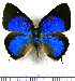  ( - JFDA5517)  @11 [ ] copyright (2025) Center For Collection-Based Research Center For Collection-Based Research