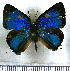  ( - JFDA5520)  @11 [ ] copyright (2025) Center For Collection-Based Research Center For Collection-Based Research