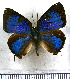  ( - JFDA5522)  @11 [ ] copyright (2025) Center For Collection-Based Research Center For Collection-Based Research