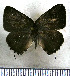 ( - JFDA5523)  @11 [ ] copyright (2025) Center For Collection-Based Research Center For Collection-Based Research