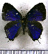  ( - JFDA5534)  @11 [ ] copyright (2025) Center For Collection-Based Research Center For Collection-Based Research