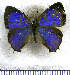  ( - JFDA5535)  @11 [ ] copyright (2025) Center For Collection-Based Research Center For Collection-Based Research