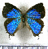  ( - JFDA5536)  @11 [ ] copyright (2025) Center For Collection-Based Research Center For Collection-Based Research