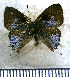  ( - JFDA5543)  @11 [ ] copyright (2025) Center For Collection-Based Research Center For Collection-Based Research
