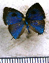  ( - JFDA5544)  @11 [ ] copyright (2025) Center For Collection-Based Research Center For Collection-Based Research