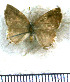  ( - JFDA5548)  @11 [ ] copyright (2025) Center For Collection-Based Research Center For Collection-Based Research