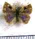  ( - JFDA5553)  @11 [ ] copyright (2025) Center For Collection-Based Research Center For Collection-Based Research
