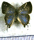  ( - JFDA5561)  @11 [ ] copyright (2025) Center For Collection-Based Research Center For Collection-Based Research