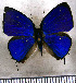  ( - JFDA5565)  @11 [ ] copyright (2025) Center For Collection-Based Research Center For Collection-Based Research
