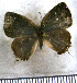  ( - JFDA5566)  @11 [ ] copyright (2025) Center For Collection-Based Research Center For Collection-Based Research