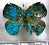 ( - JFDA5597)  @11 [ ] copyright (2025) Center For Collection-Based Research Center For Collection-Based Research