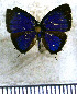  ( - JFDA5598)  @11 [ ] copyright (2025) Center For Collection-Based Research Center For Collection-Based Research