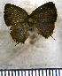  ( - JFDA5600)  @11 [ ] copyright (2025) Center For Collection-Based Research Center For Collection-Based Research