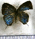  ( - JFDA5615)  @11 [ ] copyright (2025) Center For Collection-Based Research Center For Collection-Based Research