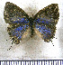  ( - JFDA5616)  @11 [ ] copyright (2025) Center For Collection-Based Research Center For Collection-Based Research