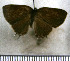  ( - JFDA5620)  @11 [ ] copyright (2025) Center For Collection-Based Research Center For Collection-Based Research