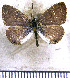  ( - JFDA5630)  @11 [ ] copyright (2025) Center For Collection-Based Research Center For Collection-Based Research