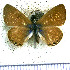  ( - JFDA5647)  @11 [ ] copyright (2025) Center For Collection-Based Research Center For Collection-Based Research