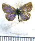  ( - JFDA5658)  @11 [ ] copyright (2025) Center For Collection-Based Research Center For Collection-Based Research