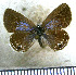  ( - JFDA5660)  @11 [ ] copyright (2025) Center For Collection-Based Research Center For Collection-Based Research