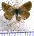  ( - JFDA5661)  @11 [ ] copyright (2025) Center For Collection-Based Research Center For Collection-Based Research
