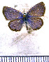  ( - JFDA5662)  @11 [ ] copyright (2025) Center For Collection-Based Research Center For Collection-Based Research
