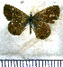  ( - JFDA5663)  @11 [ ] copyright (2025) Center For Collection-Based Research Center For Collection-Based Research