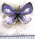  ( - JFDA5673)  @11 [ ] copyright (2025) Center For Collection-Based Research Center For Collection-Based Research